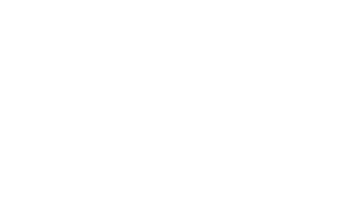 MG AUTO 91